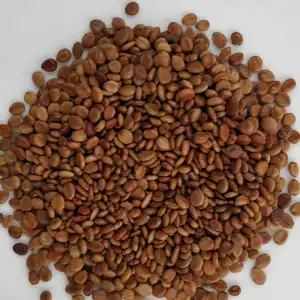 Sarfonka Panchang