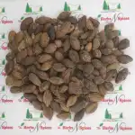 Harad Whole 