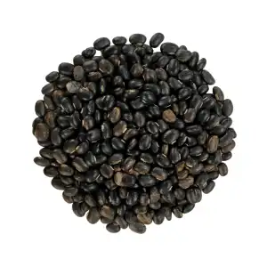 Kaunch Beej Black 
