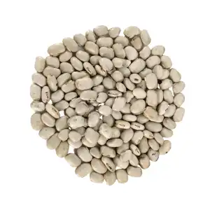 Kaunch Beej White Wild 