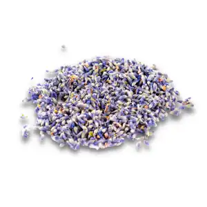 Lavender Flowers 