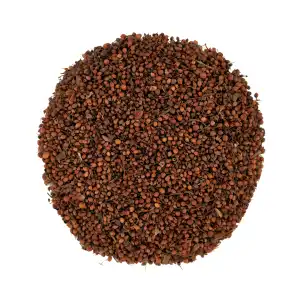 Nagkesar 