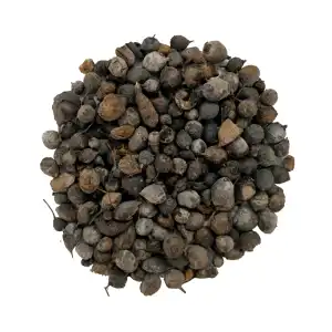 Nagarmotha Round Roots 