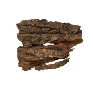 Neem Bark 