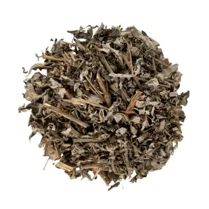 Nirgundi Whole Plant 