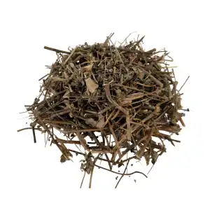 Patha Panchang 