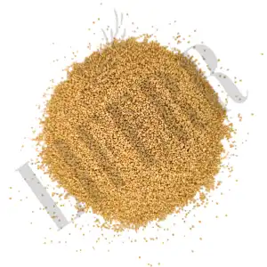 Quinoa Seeds 