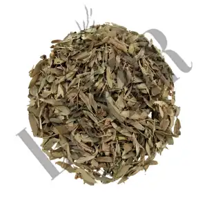 Rasna Leaves 