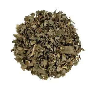 Salparni Leaves 