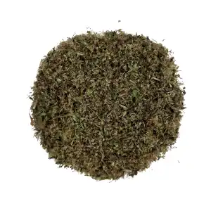 Stevia Seeds 
