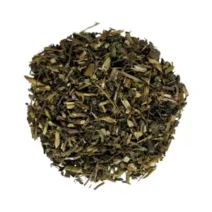 Echinesia Whole Plant