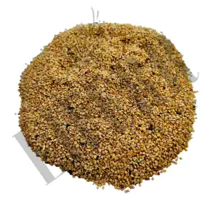 Ashwagandha Seeds 