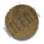 Ajmoda Seeds 