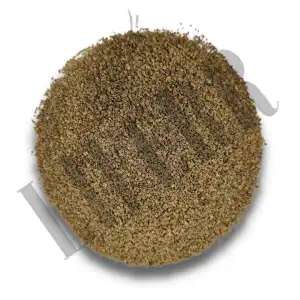 Ajmoda Seeds 