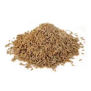 Jeera 