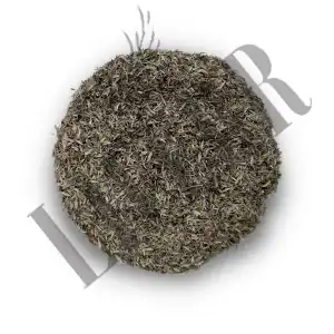 Thyme Leaves