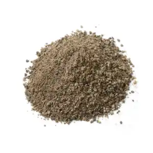 Ajmoda Seeds Powder 