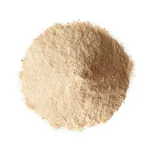 Ginger Sonth Powder 