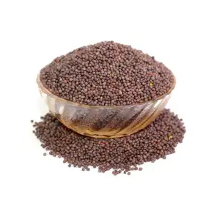 Black Mustard 