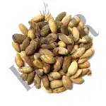 Neemboli 