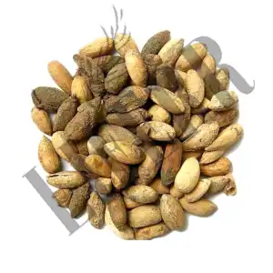 Neemboli 
