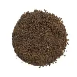 Ambadi Seed 