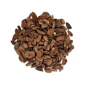 Mahuwa Seeds 