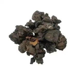 Mochrus Semal Gum
