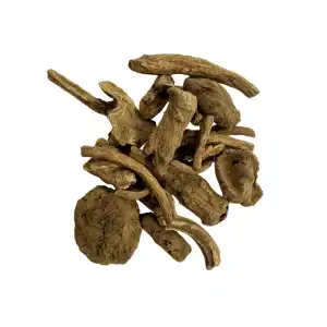 Pushkarmool