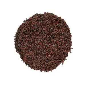 Grapes Seeds 