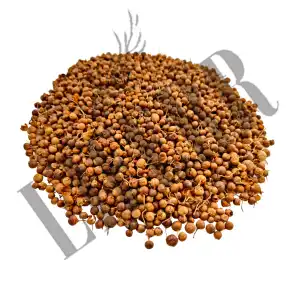 Henna Seeds 