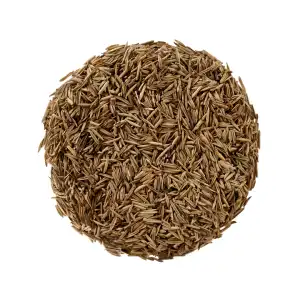Inderjau Kadwa 