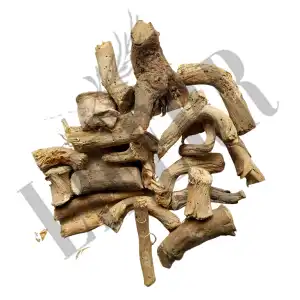 Indrayan Roots 