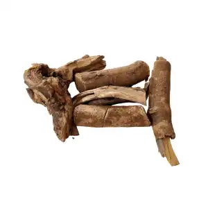 Jiwanti Roots 
