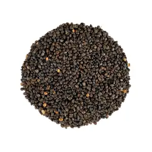 Kala Dana Seeds 