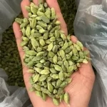 Elettaria Cardamomum