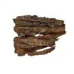 Neem Bark 