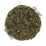 Andrographis Paniculata